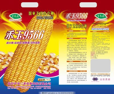 现代玉米种子包装 技术驱动的农业粮食安全基石